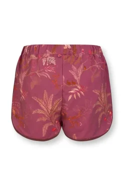 Korte Broek Isola