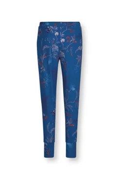 Lange Broek Isola