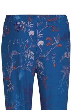 Lange Broek Isola
