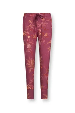 Lange Broek Isola