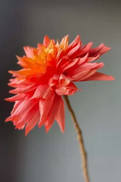 Pip Kunstbloemen Sweet Symphony